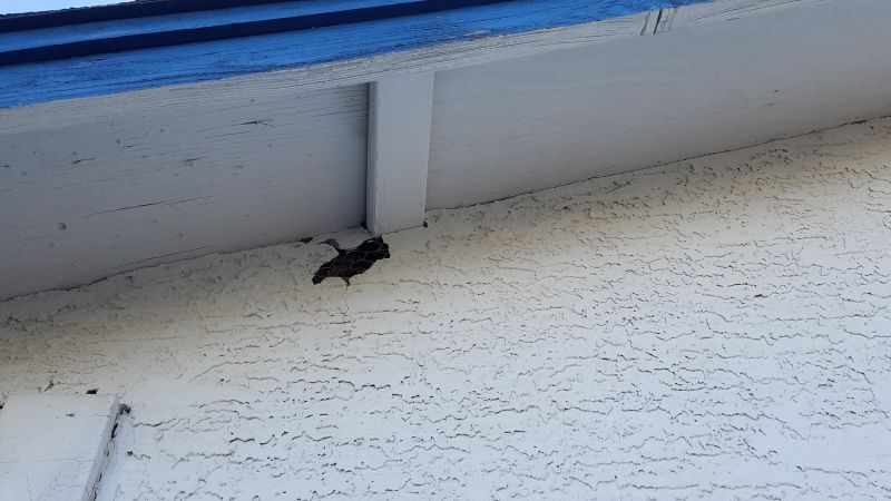 Synthetic Stucco Installation Service